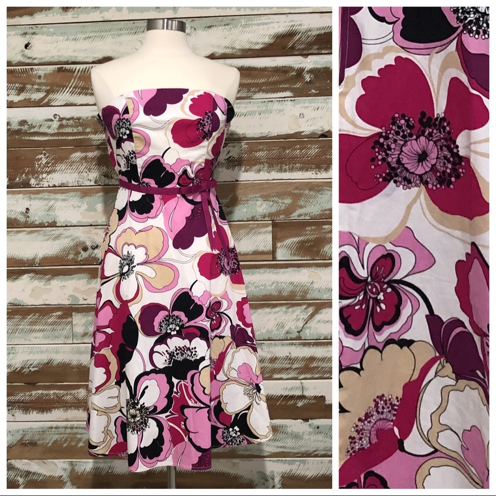 Anthropologie EVA FRANCO Pink Poppy Dress